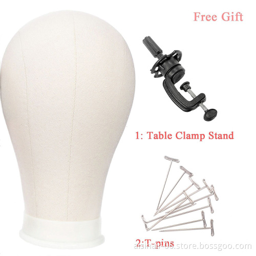 Aisi Hair Professional Poly Canvas Block Mannequin Head for Wig Making Displaying Drying Free Gifts
